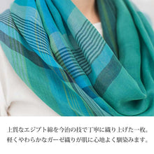 Muat gambar ke penampil Galeri, Orim Stole Mixed Check Stole Approx. 60 x 180 cm Made in Japan from Imabari