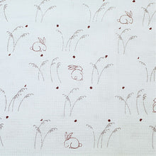 Load image into Gallery viewer, Face Towel Cloth Reading Rabbit 33 x 100cm
