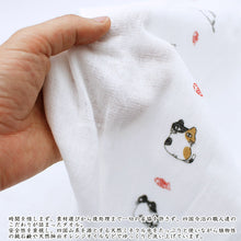 将图片加载到图库查看器,Face Towel Hagoromo Gauze Cat Blue 32 x 95cm