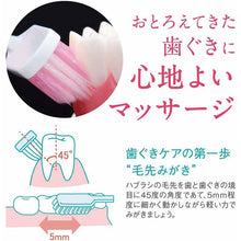 画像をギャラリービューアに読み込む, Systema Haguki Plus Toothbrush, Ultra Compact, Soft, 1 Piece