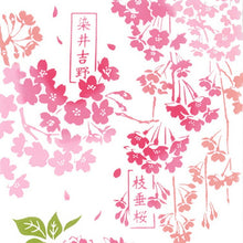 将图片加载到图库查看器,Tenugui Chudyed Tenugui Kenema Cherry Blossom Picture Book Pink Approx. 35 x 90cm