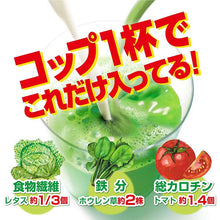 将图片加载到图库查看器,Yamamoto Kampo 100% Barley Leaf Powder, Measured Type, 170g, Natural Green Juice, Healthy Nutrients