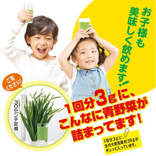 将图片加载到图库查看器,Yamamoto Kampo 100% Barley Leaf Powder, Measured Type, 170g, Natural Green Juice, Healthy Nutrients