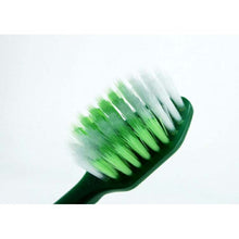 将图片加载到图库查看器,Fresh Leaf Extra Wide Brush Toothbrush Regular Head Regular 1 piece