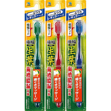 将图片加载到图库查看器,Fresh Leaf Extra Wide Brush Toothbrush Regular Head Regular 1 piece