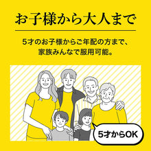 Cargar imagen en el visor de la galería, Taisho Kampo Gastrointestinal remedy 100 Tablets