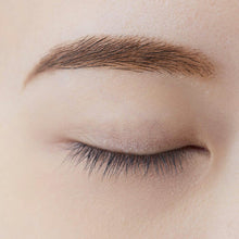 将图片加载到图库查看器,Chifure Eyebrow Powder Eyebrow PK10 Pink Brown 2.7g