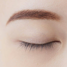 将图片加载到图库查看器,Chifure Eyebrow Powder Eyebrow PK10 Pink Brown 2.7g