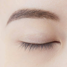 将图片加载到图库查看器,Chifure Eyebrow Powder Eyebrow GR30 Green Brown 2.7g