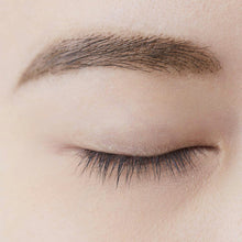 将图片加载到图库查看器,Chifure Eyebrow Powder Eyebrow GR30 Green Brown 2.7g