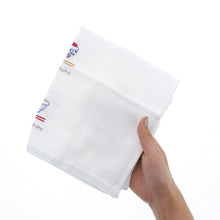 Load image into Gallery viewer, Imabari Towel Handkerchief Hagoromo Gauze Wet Hand Towel Fresh Blue 33 x 38 cm