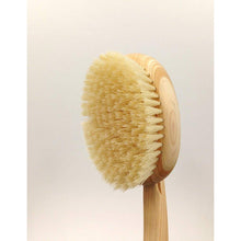 Load image into Gallery viewer, OHE &amp; Co. Bath-Mate Body Brush Curved Handle Soft
