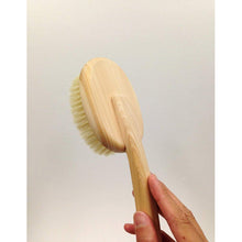 将图片加载到图库查看器,OHE & Co. Bath-Mate Body Brush Curved Handle Soft