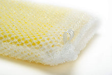 Load image into Gallery viewer, AISEN Foam Sponge Net
