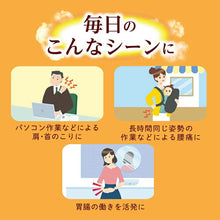 Load image into Gallery viewer, Kao MegRhythm Steam Heating Sheet 16 Pieces