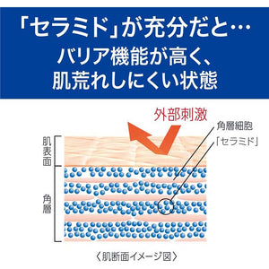 Curel Sebum Trouble Care Sebum Care Foaming Face Wash Cleanser 150ml, Japan No.1 Brand for Sensitive Skin Care