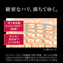 Cargar imagen en el visor de la galería, Sofina Firming Beauty Liquid Refill 40g