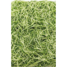 将图片加载到图库查看器,KAI Sekimagoroku Julienne Machine Extra Fine Regular Made In Japan Black Approx. 10×29.5×3cm