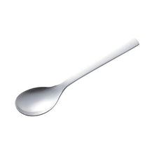 Load image into Gallery viewer, KAI Japanese Design Tea Spoon 000FA5117