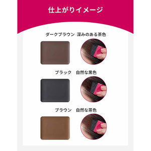 Shiseido Prior Hair Foundation Dark Brown Foundation 3.6g