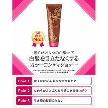 Load image into Gallery viewer, Shiseido Prior Color Conditioner N Brown 230g