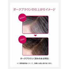 画像をギャラリービューアに読み込む, Shiseido Prior Color Conditioner N Dark Brown 230g
