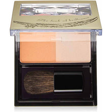 Load image into Gallery viewer, Shiseido Integrate Forming Cheeks OR210 3.5g
