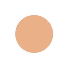Load image into Gallery viewer, Shiseido Spots Cover Foundation Base Color S100 20g