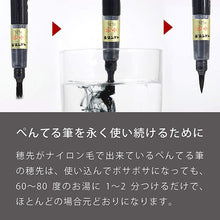 将图片加载到图库查看器,Pentel Brush Pen Pentel Brush Mid-Print