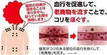 将图片加载到图库查看器,Pip Elekiban Magnetic Flux Density 200mT for Mama 12 Pieces