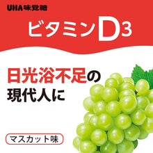 Muat gambar ke penampil Galeri, UHA Gummy Supplement Vitamin D3 Muscat Flavor Stand Pouch 40 Tablets 20 Days, Boost Immunity Weight Loss Good Mood Bone Health