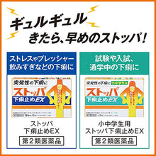 Cargar imagen en el visor de la galería, STOPPER-L Diarrhea EX 12 Tablets