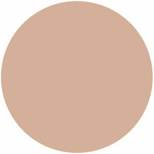 Load image into Gallery viewer, Kose Elsia Platinum BB Powder Foundation with Case Pink Ocher 205 10g
