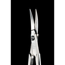 Load image into Gallery viewer, Craftsman&#39;s Skill  Stainless Steel Eyebrow Scissors
