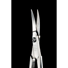 将图片加载到图库查看器,Craftsman's Skill  Stainless Steel Eyebrow Scissors