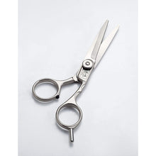 Load image into Gallery viewer, Craftsman&#39;s Skill  Stainless Steel Hair Cutting Salon Scissors
