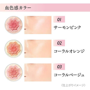 Kanebo Coffret D'or Smile Up Cheeks S 01 Salmon Pink 4g