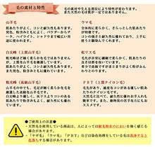 Muat gambar ke penampil Galeri, Made In Japan Slide Cheek Make-Up Cosmetics Brush (SS-03SI)