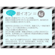 将图片加载到图库查看器,ASVEL N POSE Scrubbing Brush / Sponge Holder(MType) 4318 White