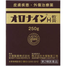 Load image into Gallery viewer, Oronine H Ointment 250g
