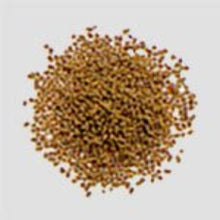 Load image into Gallery viewer, Kampo Minor Blue Dragon Decoction Extract Granules A (10 packets)
