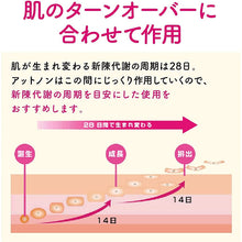 将图片加载到图库查看器,Attonon EX Cream 15g Scar & Burn Wound Repair without White Residue