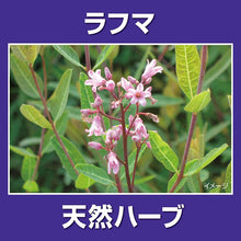 Load image into Gallery viewer, Sleep Help 30 Pills Japan Health Supplement Insomnia Sleep Quality