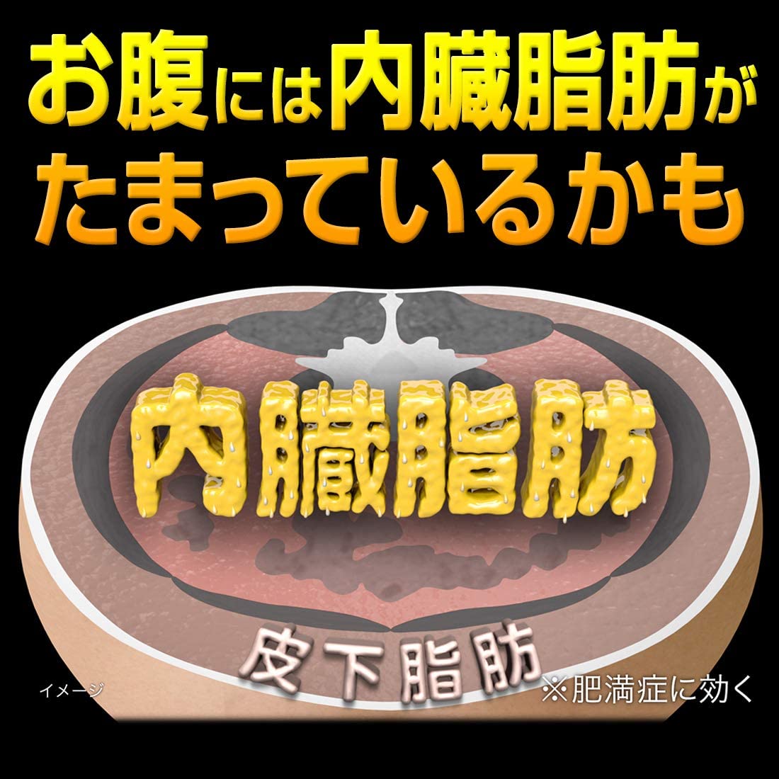 セール！FATLOSS 210 Tablets 2箱 Naishi Toru Za : 420 tablets | Natural Pharmacy