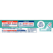 Load image into Gallery viewer, BETONEBETO N Skin Ointment AS 10g