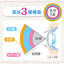 Load image into Gallery viewer, New Tears Rohto Dry Eye 13mL
