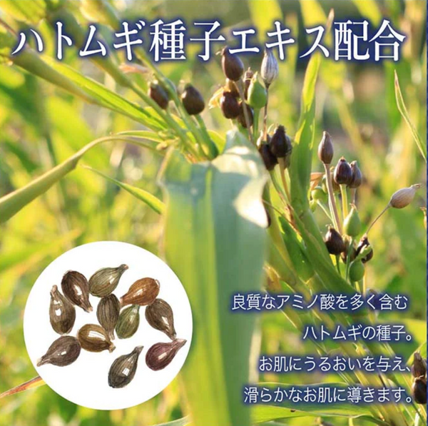 Powerful Natural Japanese Beauty Detox Ingredient You Must Have for Beautiful Skin