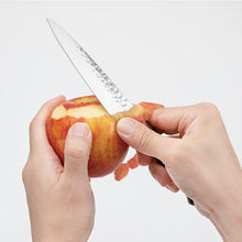 将图片加载到图库查看器，Seki Magoroku Imayo Kitchen Knife Double Edge Petty 120mm Made in Japan AB5461
