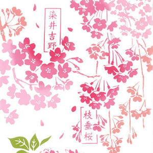 Tenugui Chudyed Tenugui Kenema Cherry Blossom Picture Book Pink Approx. 35 x 90cm