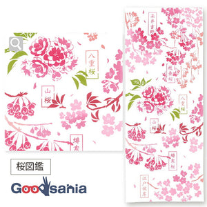 Tenugui Chudyed Tenugui Kenema Cherry Blossom Picture Book Pink Approx. 35 x 90cm